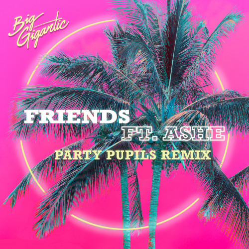 Friends (Party Pupils Remix) - Big Gigantic featuring Ashe
